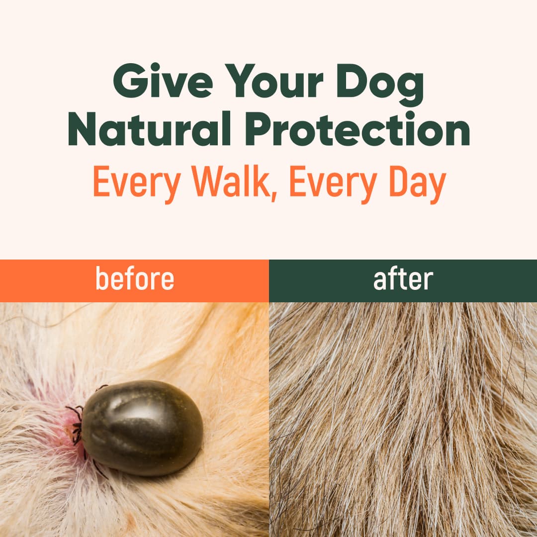 RoyalPaw™ – Anti Parasite Pendant (100% Natural)