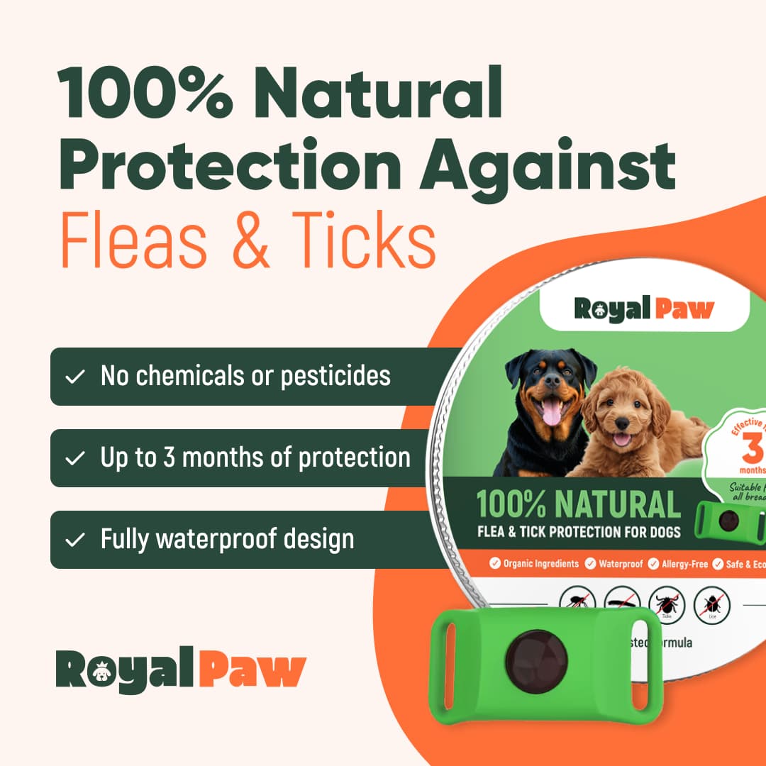 RoyalPaw™ – Anti Parasite Pendant (100% Natural)