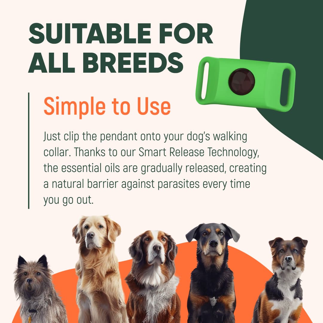 RoyalPaw™ – Anti Parasite Pendant (100% Natural)
