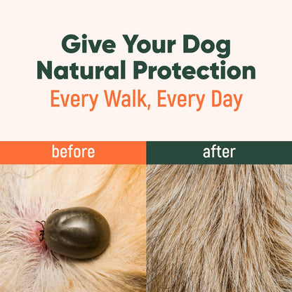 RoyalPaw™ – Anti Parasite Pendant (100% Natural)